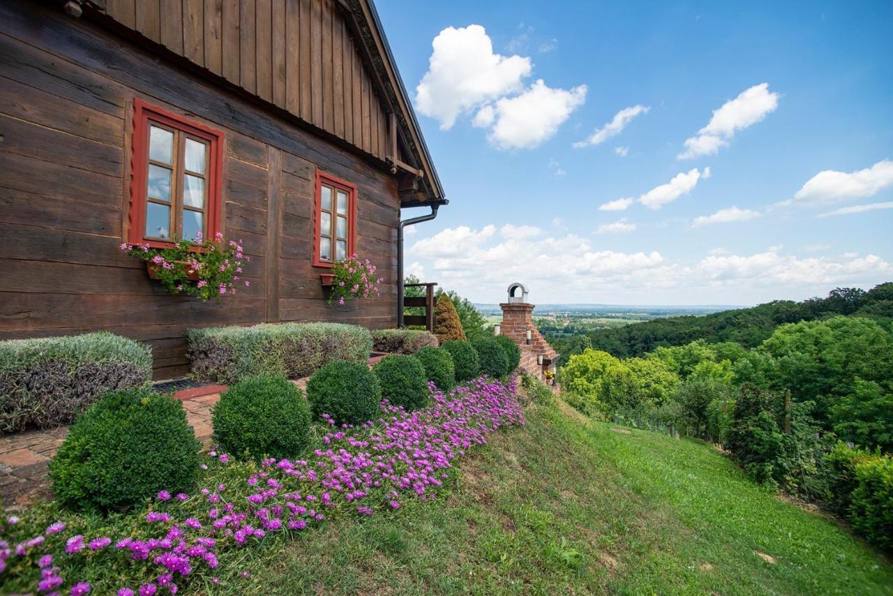 Kuca Za Odmor Stara Hiza Villa Selnica Exterior photo